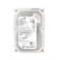 DELL Seagate ST3250310AS 9EU132-037 0XT213 250 GB 7200 RPM SATA