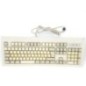 CHICONY KB-5916 AZERTY PC Keyboard DIM Interface