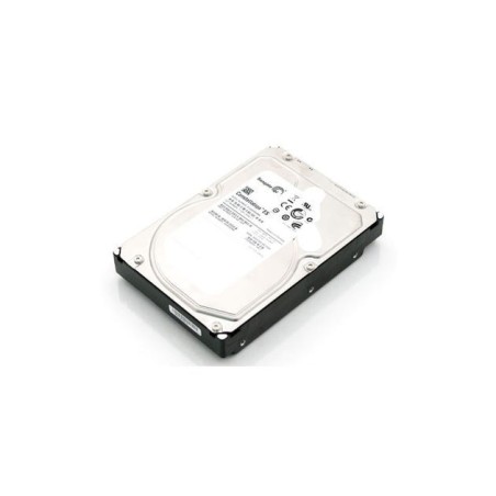 Seagate ST32000644NS Disque Dur 2TB 7.2K SATA