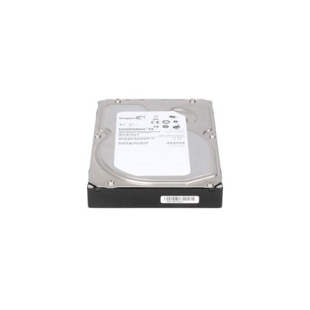 Seagate ST31000424SS Disque Dur 1TO 7.2K SAS