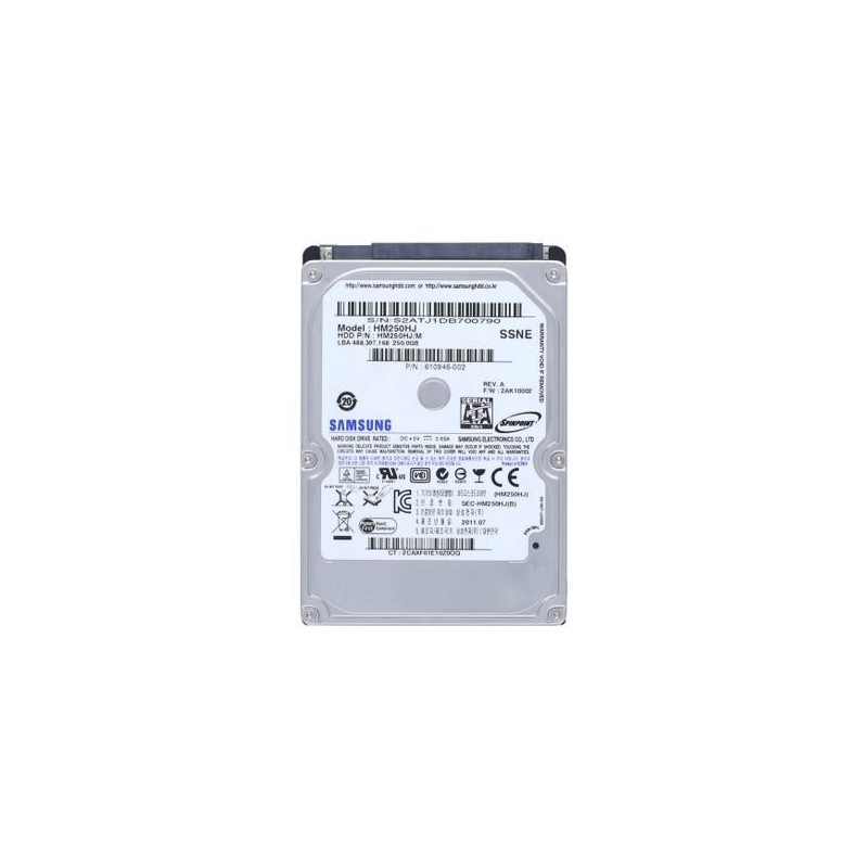 Samsung HM250HJ 250GO 7.2K SATA Disque Dur