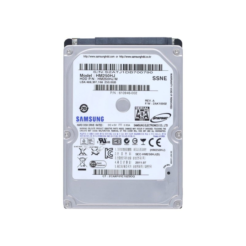 Samsung HM250HJ 250GO 7.2K SATA Disque Dur