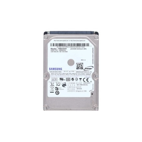 Samsung HM250HI 250GO 5.4K SATA Disque Dur